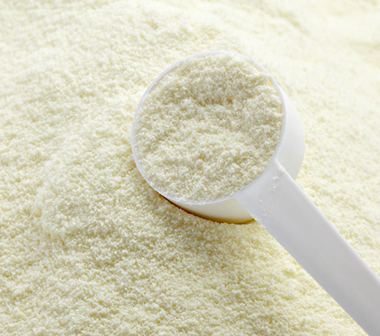 Full Cream Milk Powder